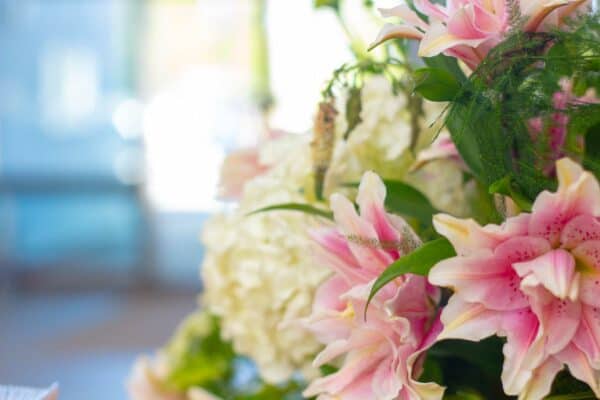 pink and white flowers in The Street at the hospice