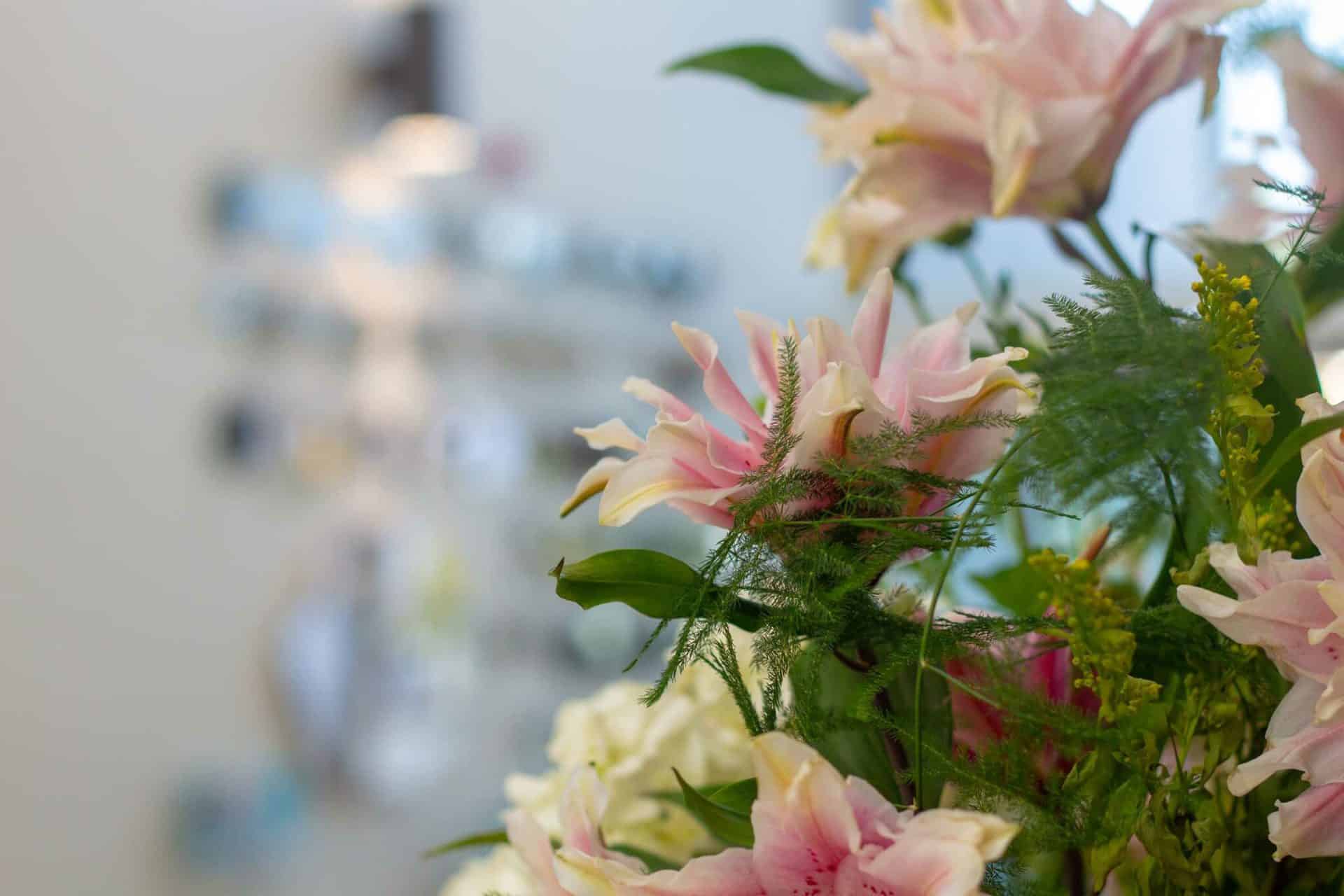 pink and white flowers in The Street at the hospice