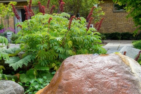 Courtyard garden and water feature