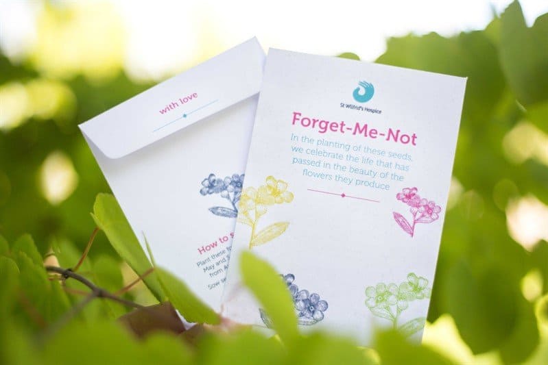 Forget Me Not seed pack 1