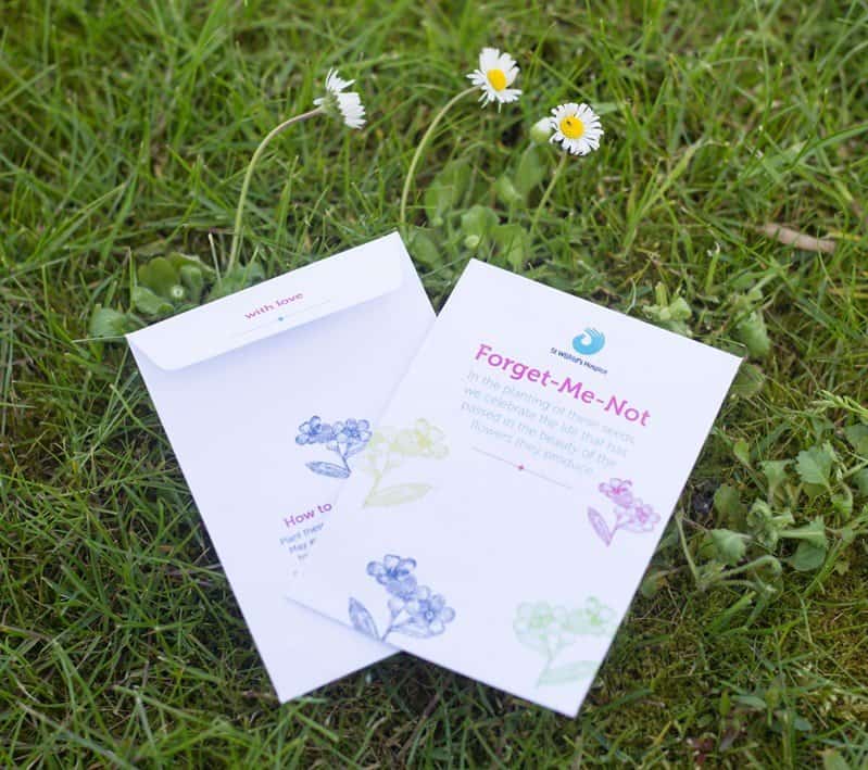 ForgetMeNot2 Forget Me Not seed pack 2