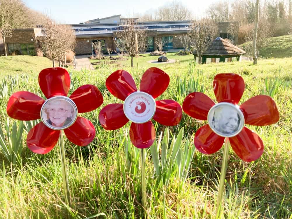 Ruby Forgetmenot Flowers outside hospice