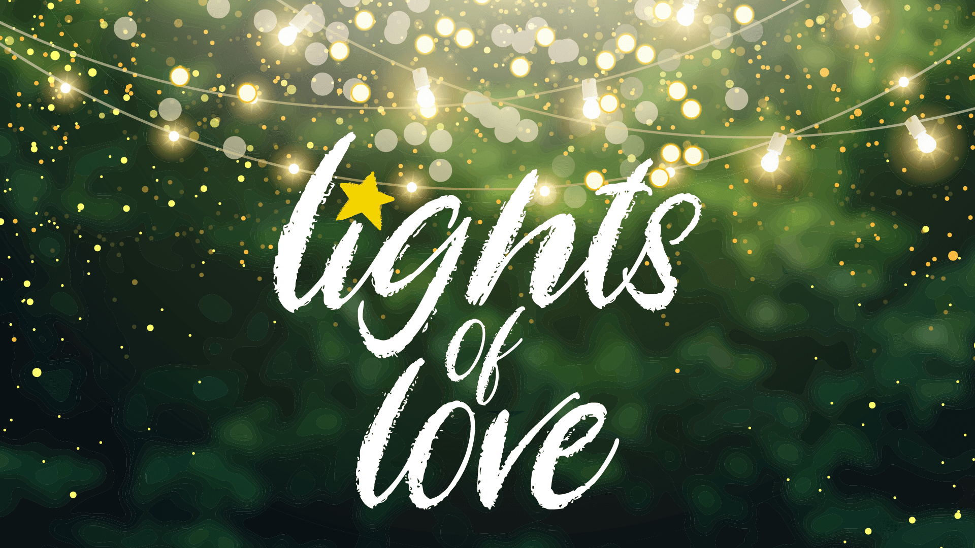 Lights of Love 2022 St Wilfrid's Hospice (Eastbourne)