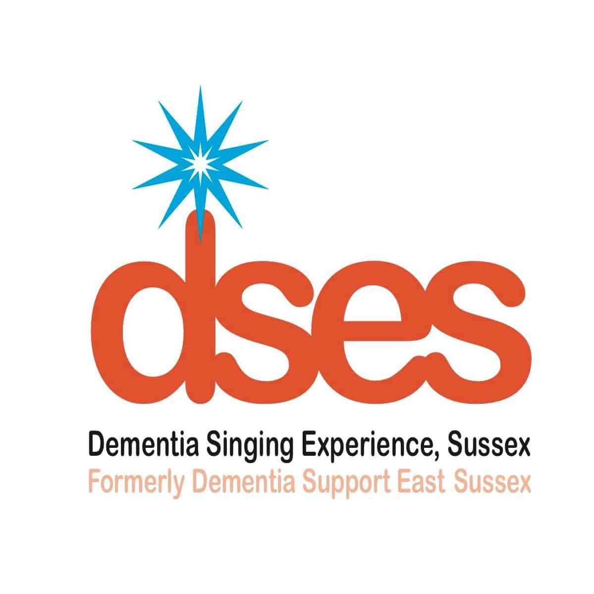 DSES Logo