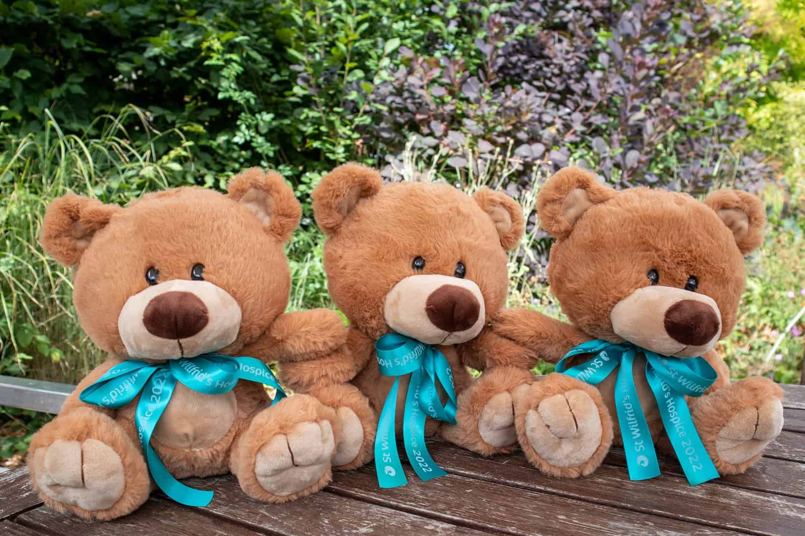 Wilfie Bear 14 Wilfie Bear 14