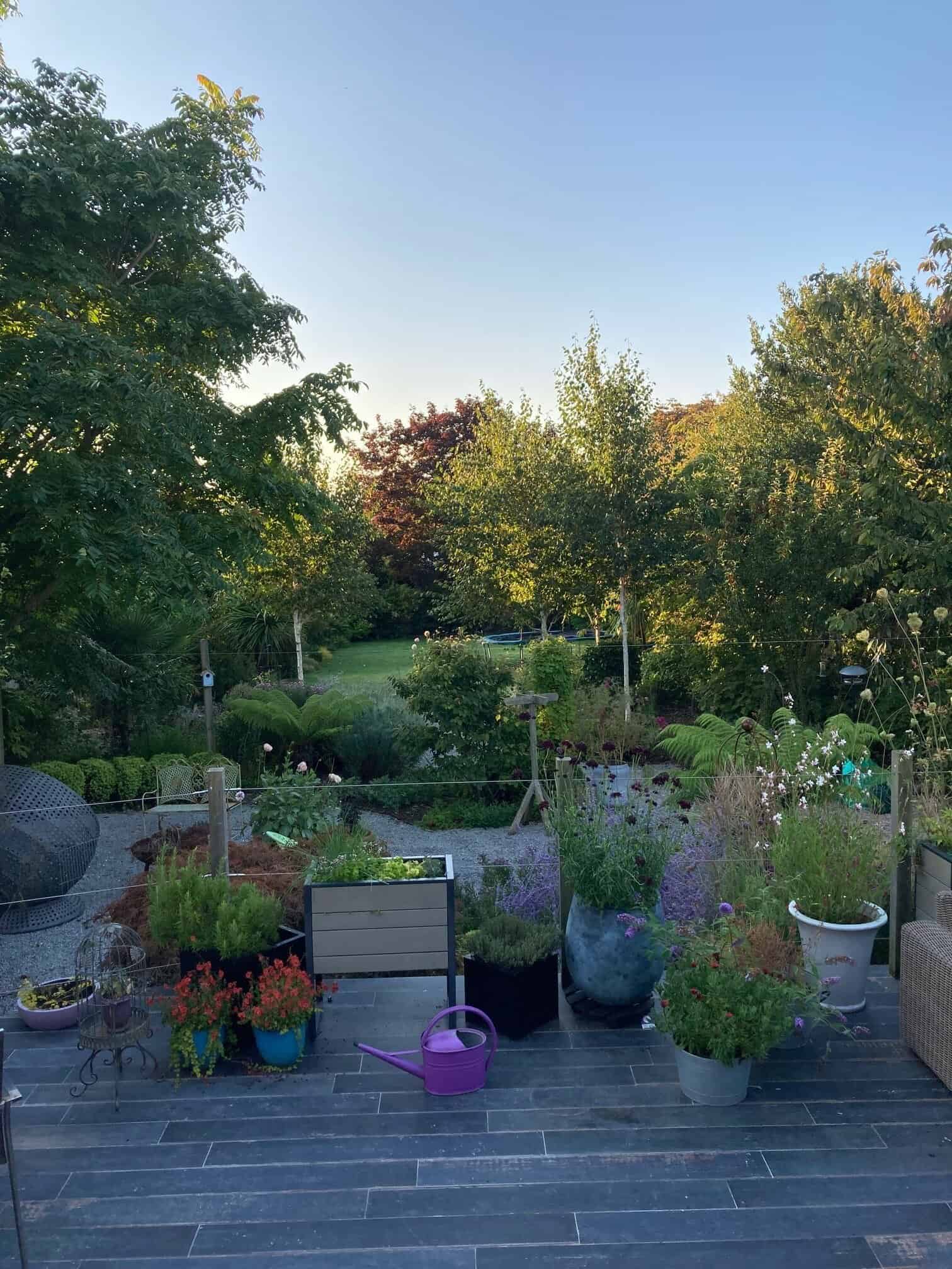 8 Pashley Road 1 8 Pashley Road 1