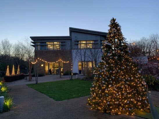 Lights Of Love 2020