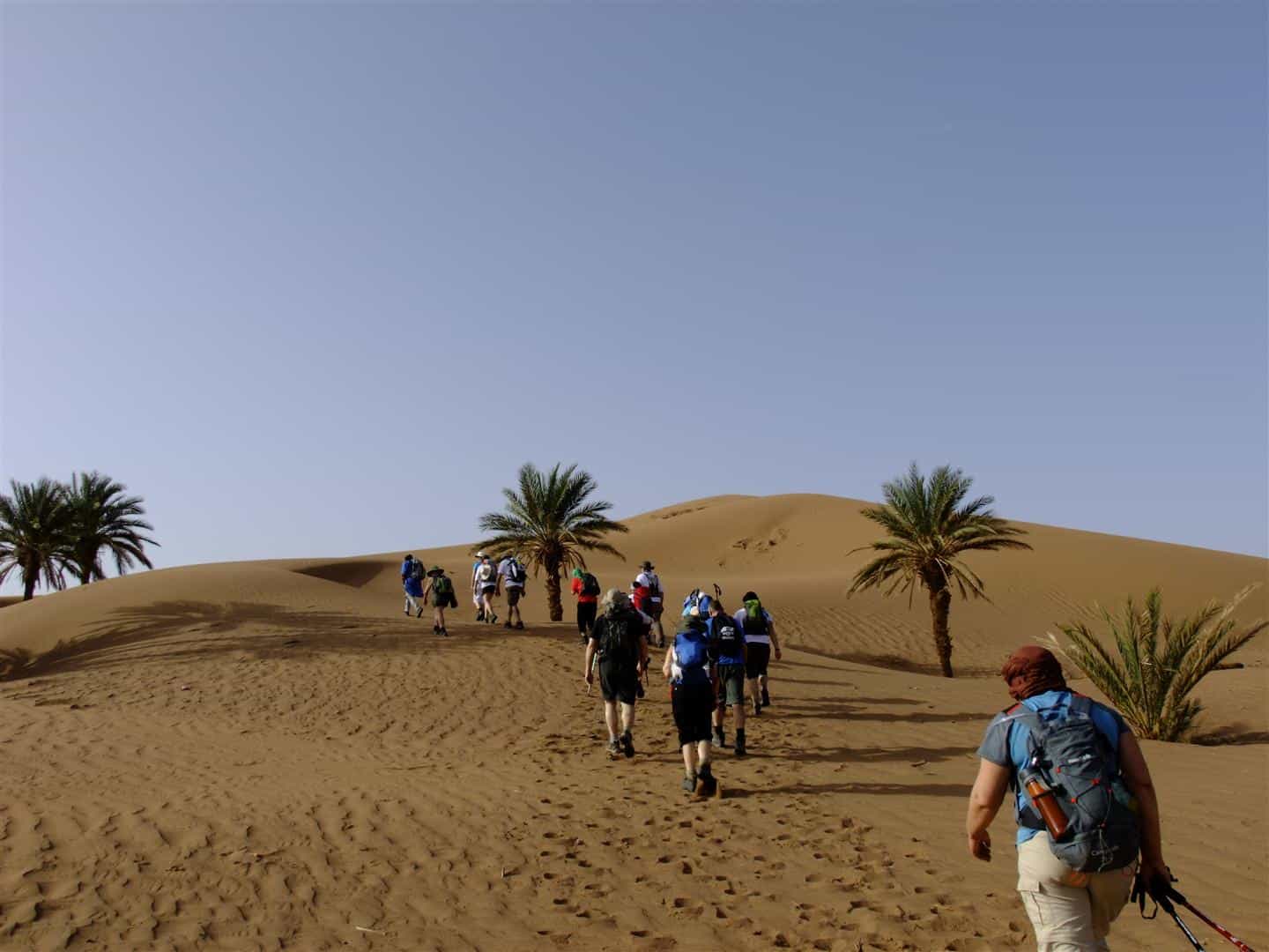 multiple people trekking through sahara desert