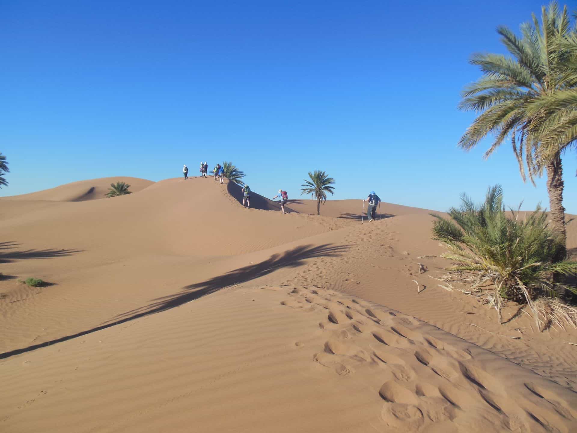 People walking in desert