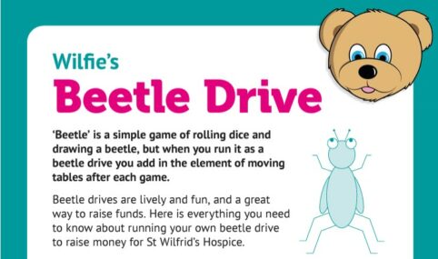 Beetle Drive Thumbnail