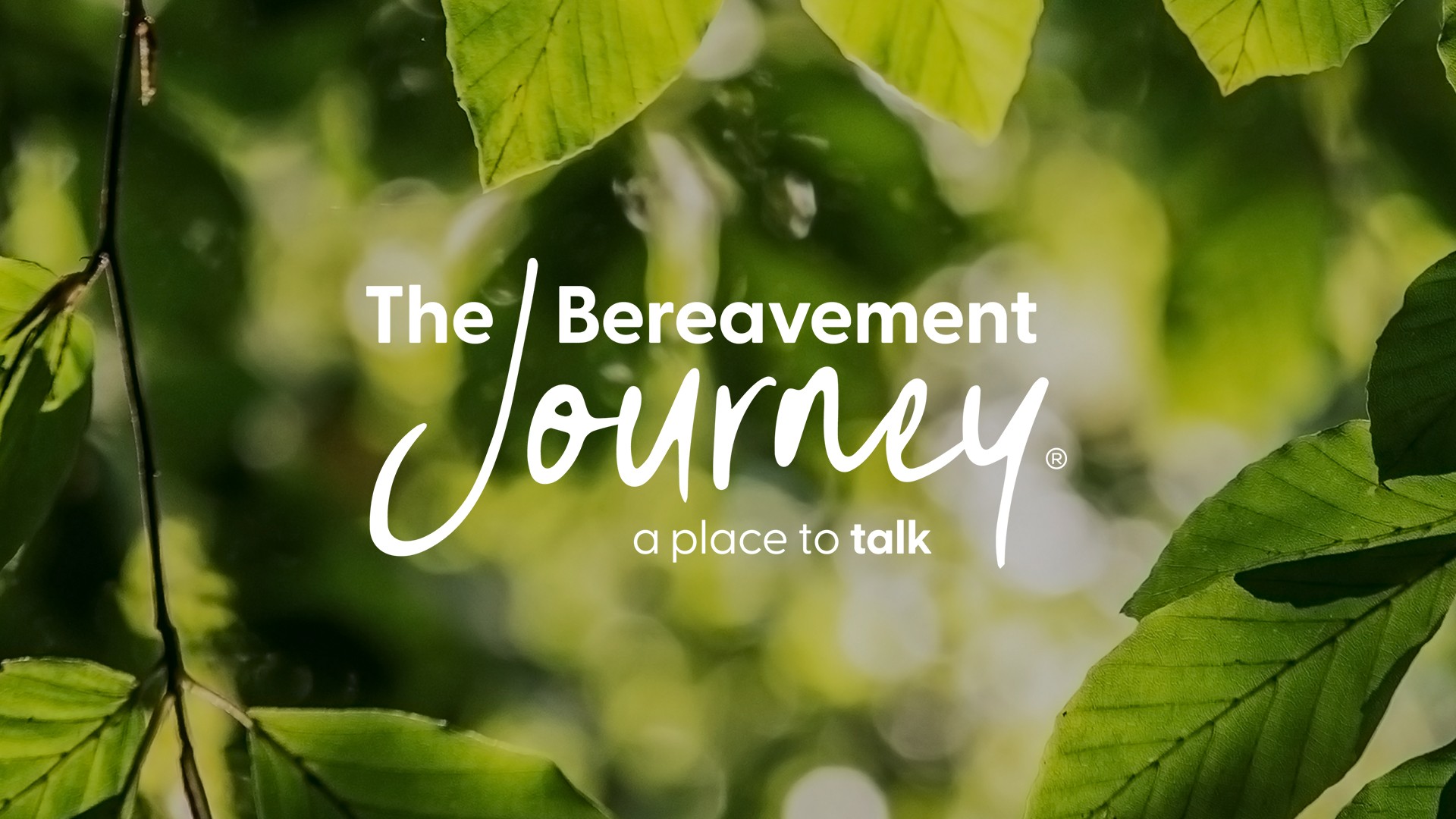 the bereavement journey graphic