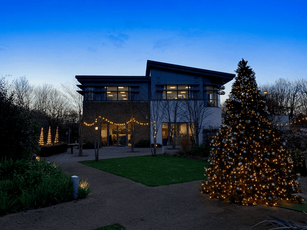 christmas tree