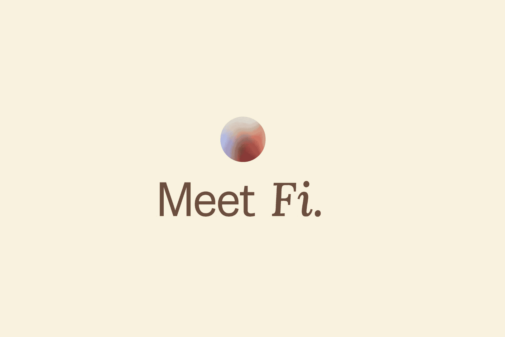Meet Fi