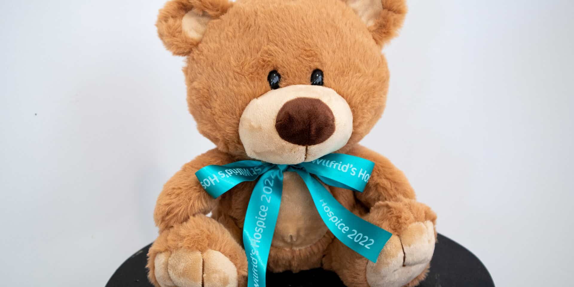 Wilfie Bear 11